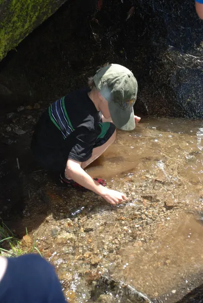 DSC_0074 (Large).JPG